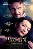 Ordinary Love Poster 6