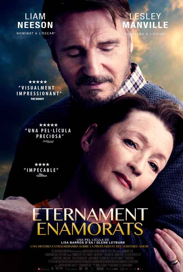 Ordinary Love Poster 6