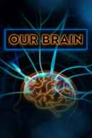 Our Brain Poster 2