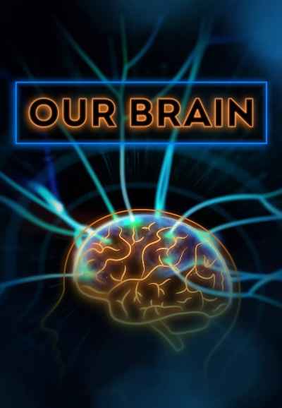 Our Brain
