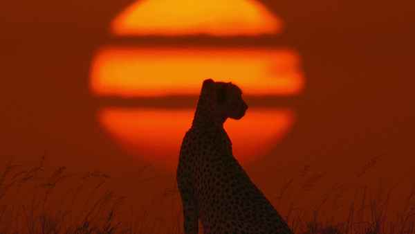 Our Universe Poster 3