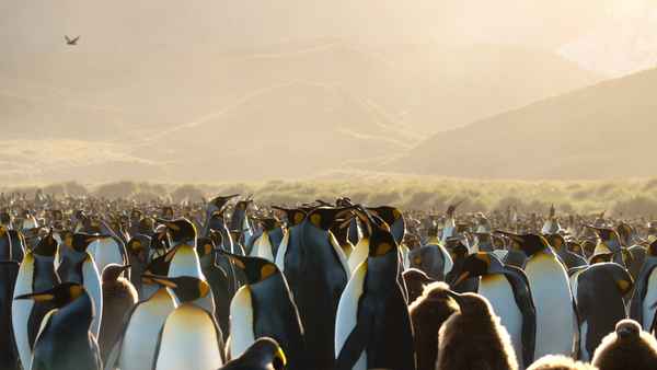 Our Universe Poster 4