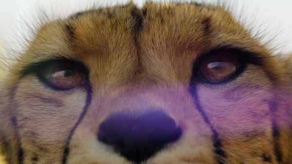 Our Universe Poster 1