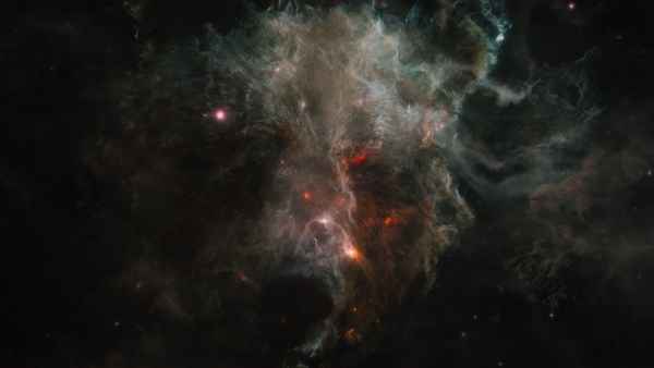 Our Universe Poster 5