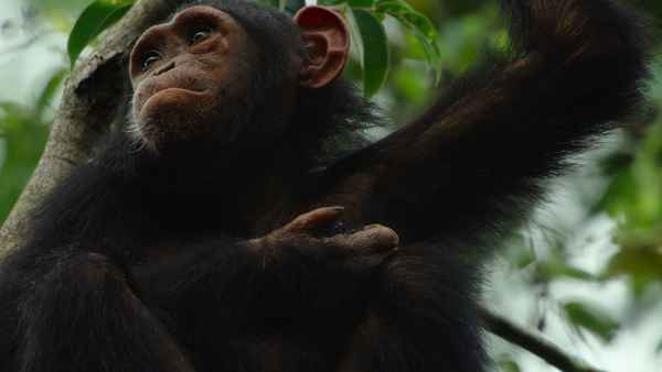 Our Universe Poster 6