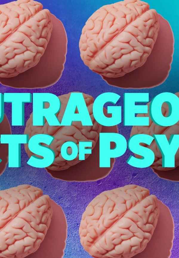 Outrageous Acts of Psych Poster 3