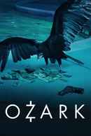 Ozark Poster 5