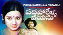 Padaharella Vayasu Poster 1