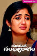 Padamati Sandhyaragam Poster 4