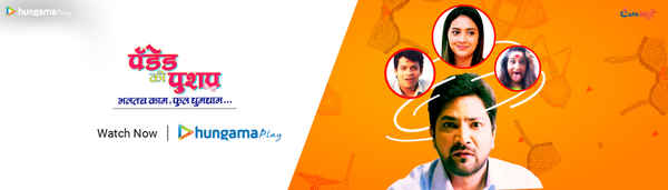 Padded Ki Pushup Poster 1