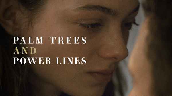 Palm Trees and Power Lines Poster 1