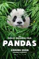 Pandas: The Journey Home Poster 4
