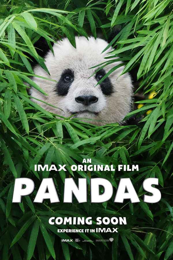 Pandas: The Journey Home Poster 4