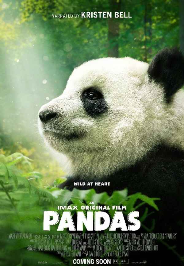 Pandas: The Journey Home Poster 6
