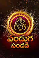 Panduga Sandhadi Poster 2