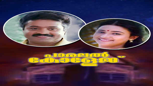 Parallel College Poster 7