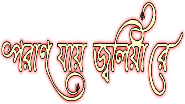 Paran Jai Jaliya Re Poster 7