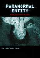 Paranormal Entity Poster 5