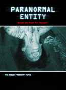 Paranormal Entity Poster 2