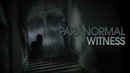 Paranormal Witness Poster 2