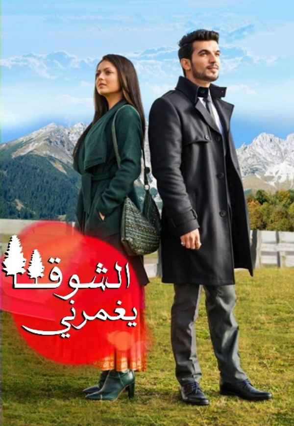 Pardes Mein Hai Mera Dil Poster 5