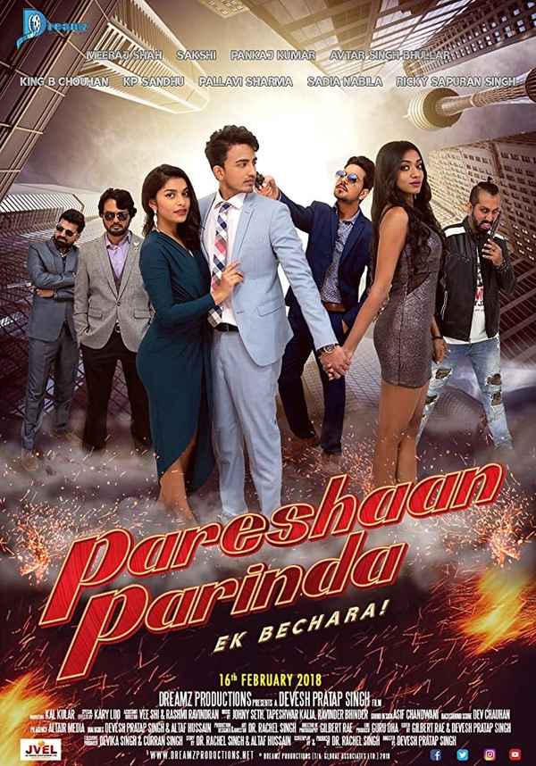 Pareshaan Parinda Poster 6
