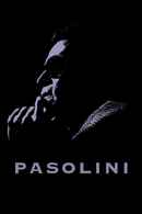 Pasolini Poster 6