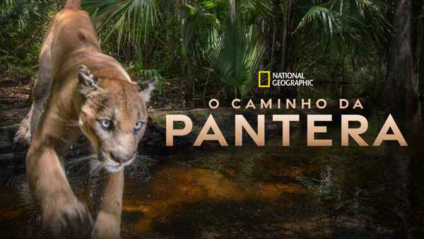 Path of the Panther Poster 1