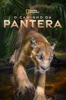 Path of the Panther Poster 7