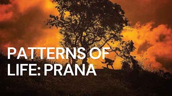 Patterns of Life: Prana Poster 2