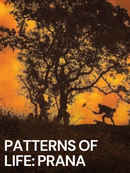 Patterns of Life: Prana Poster 1