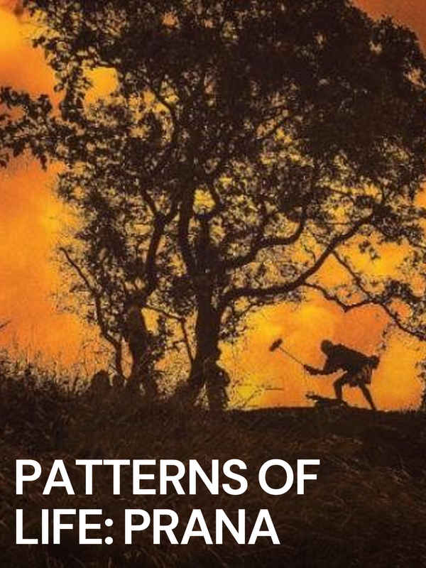 Patterns of Life: Prana Poster 1