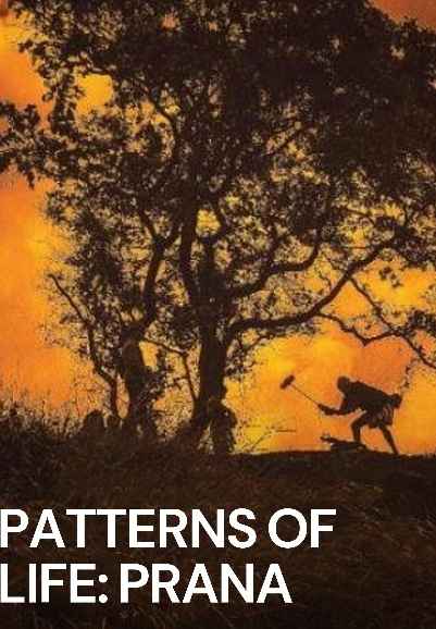 Patterns of Life: Prana
