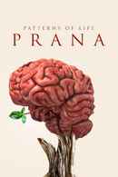 Patterns of Life: Prana Poster 7