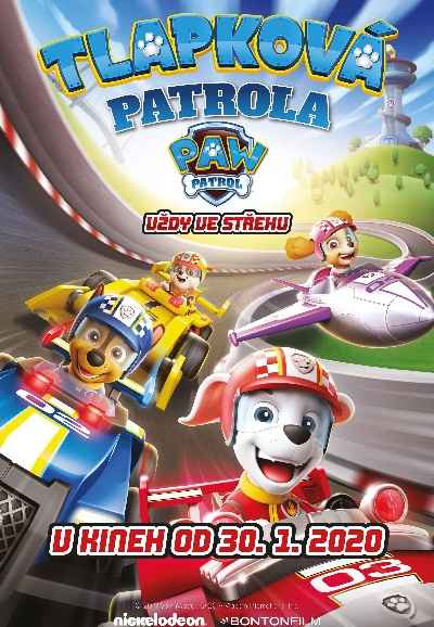 Paw Patrol: Ready, Race, Rescue!