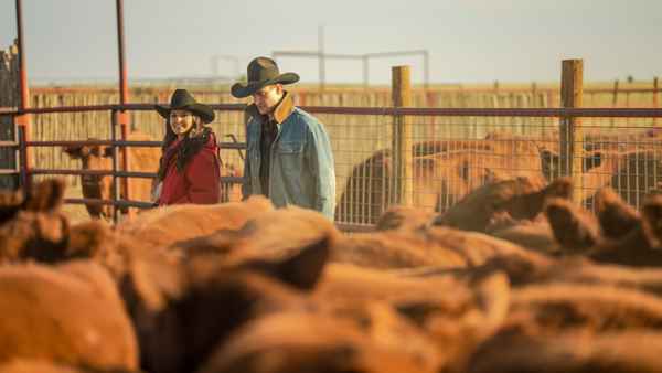 Peace River Poster 6