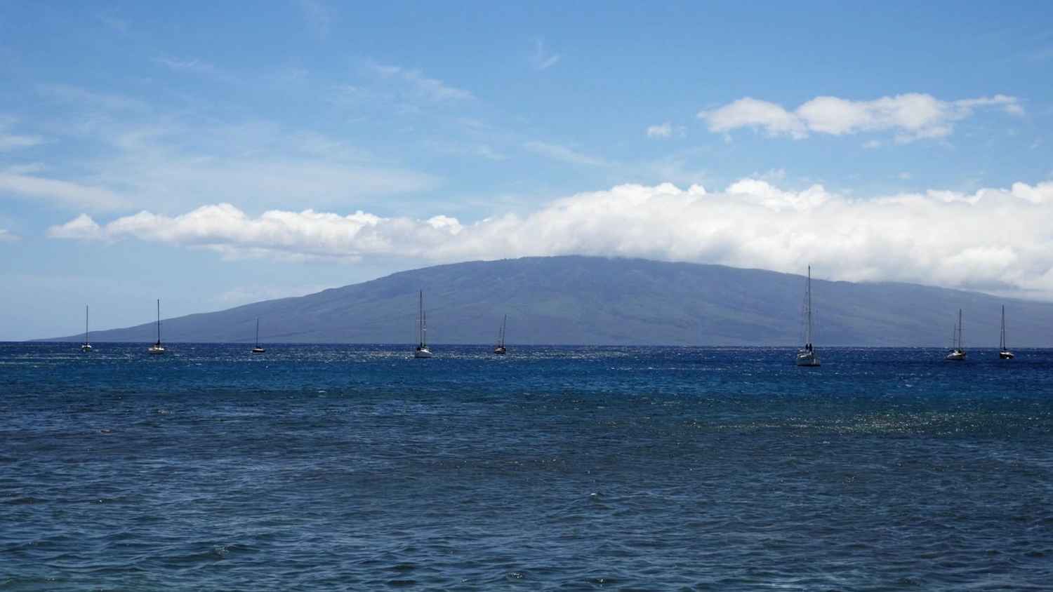 Peaceful Marina: Hawaii