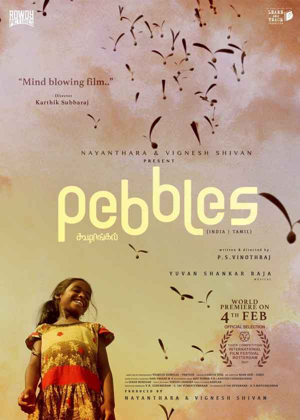 Pebbles Poster 6