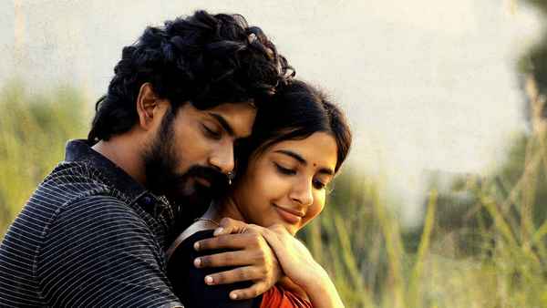 Peddha Kapu - 1 Poster 2