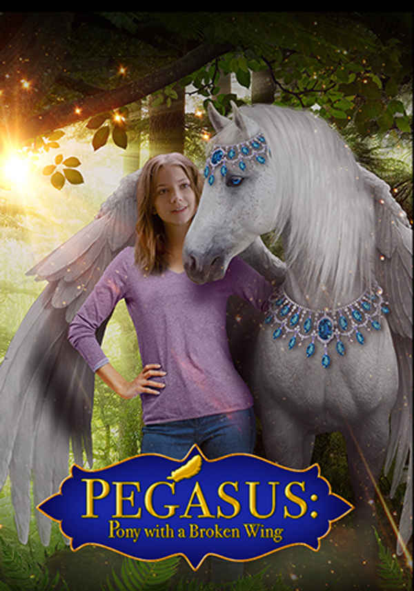 Pegasus: Pony with a Broken Wing Poster 7