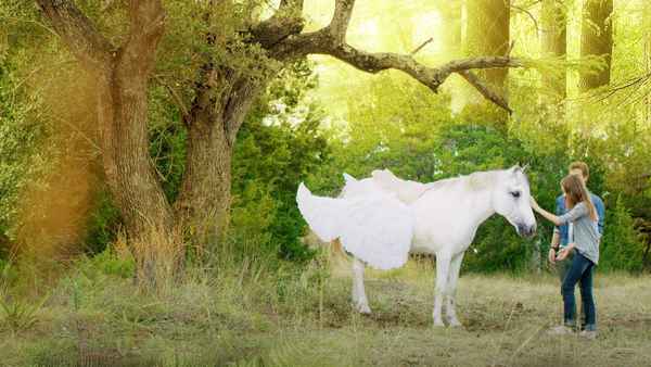 Pegasus: Pony with a Broken Wing Poster 3