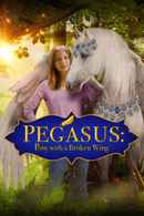 Pegasus: Pony with a Broken Wing Poster 4