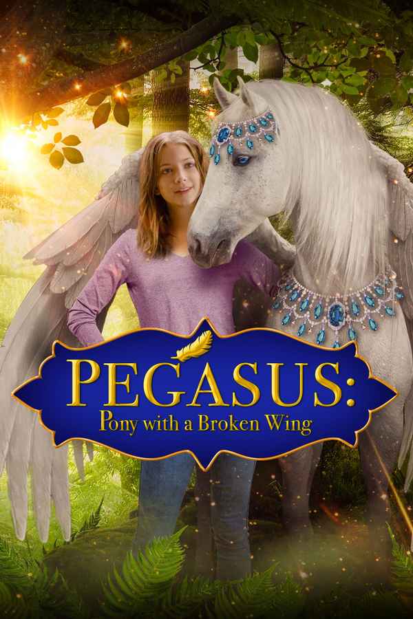 Pegasus: Pony with a Broken Wing Poster 4
