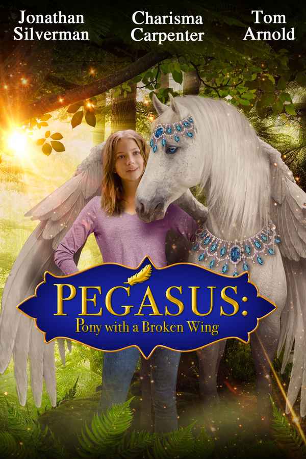 Pegasus: Pony with a Broken Wing Poster 1