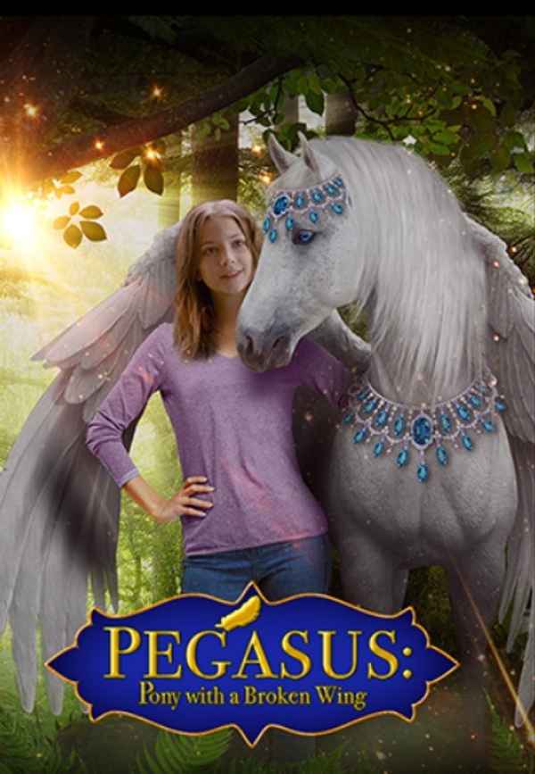 Pegasus: Pony with a Broken Wing Poster 5