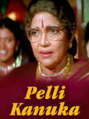 Pelli Kanuka Poster 1