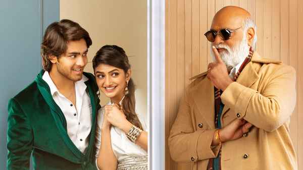 PellisandaD Poster 1