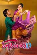 PellisandaD Poster 4