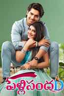 PellisandaD Poster 3