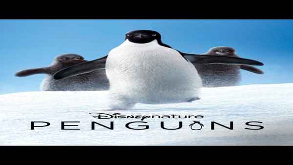 Penguins Poster 7
